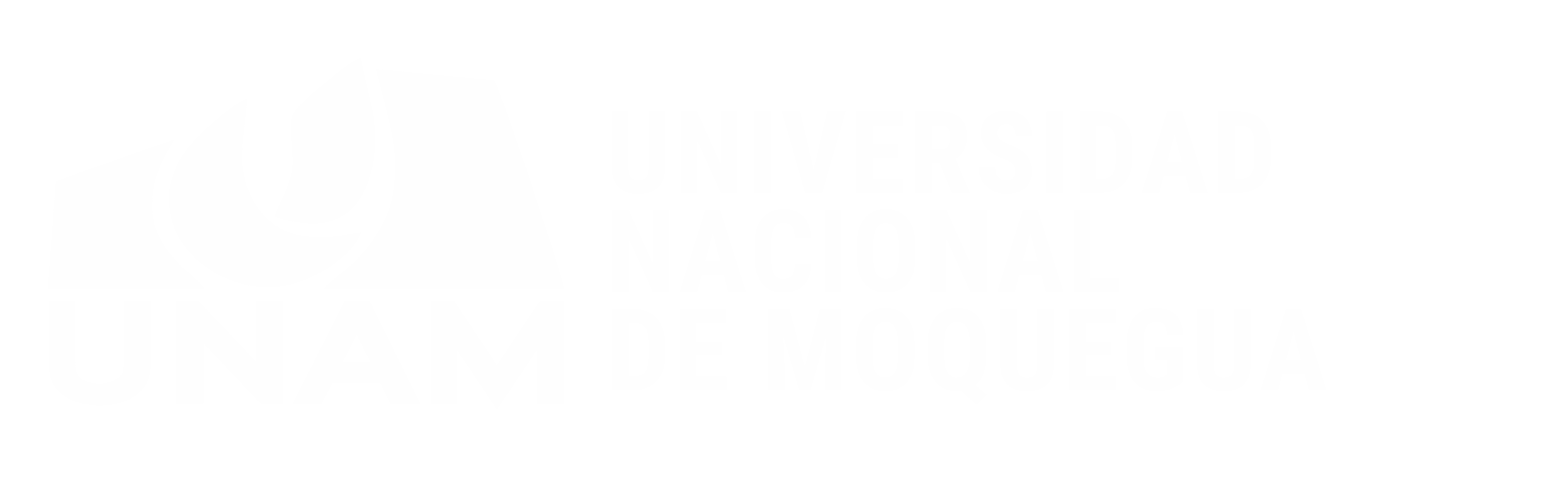 Universidad Nacional de Moquegua