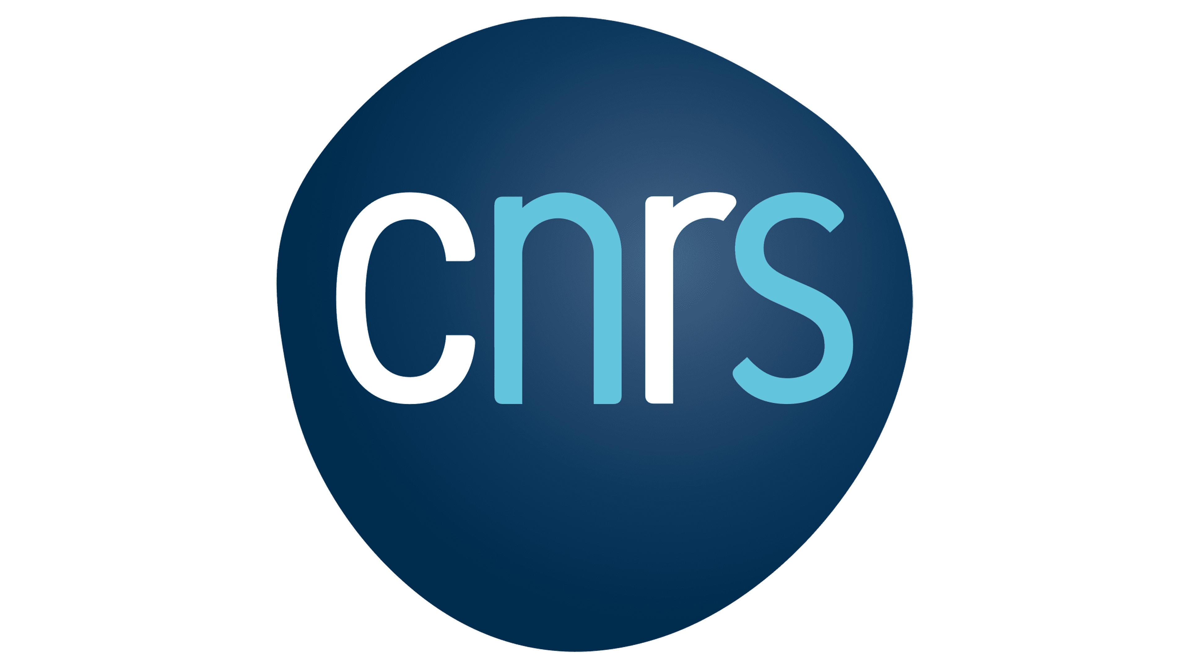 CNRS - SIMBig 2025